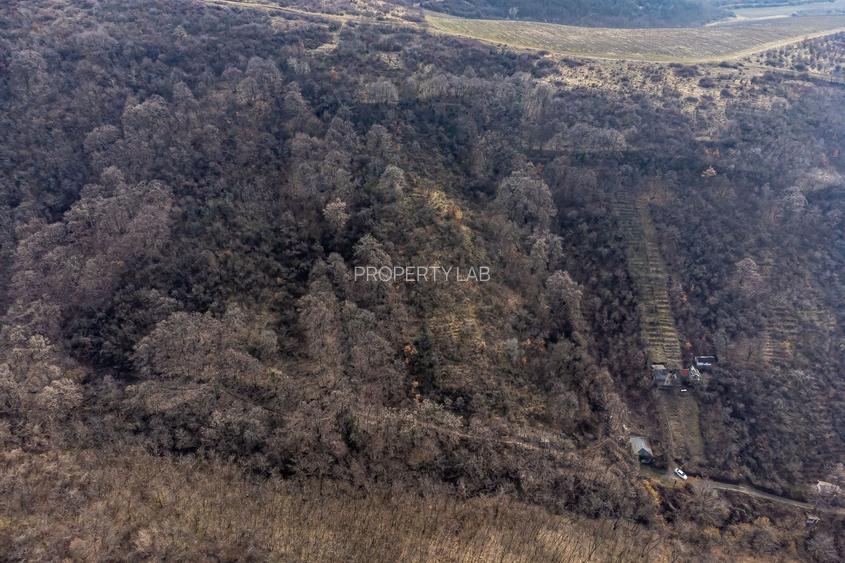 Teren în Ghioroc pe deal - 5