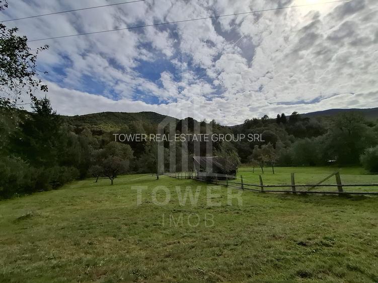 Teren Intravilan de Vânzare – 3622 mp – Râu Sadului - 2