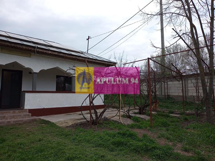 GIURGIU - COM. BUCSANI (SAT OBEDENI) CASA 2 CAM DE VANZARE - 6