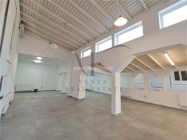 Vila 9 camere 3 grupuri sanitare 1 terasa 354 mp Vasile Lascar Stefan cel Mare - 11