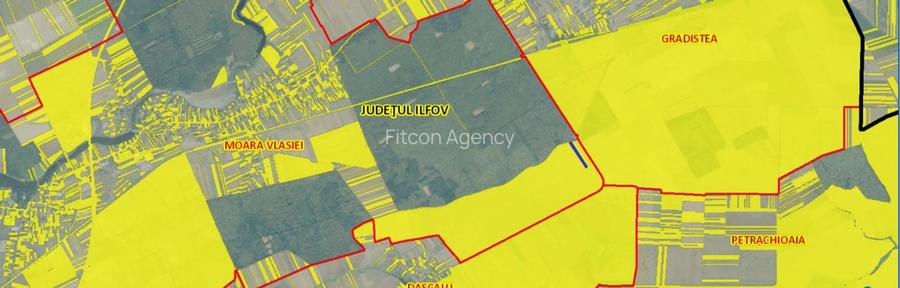 Vanzare teren Moara Vlasiei - Padurea Branzeasca, DJ200 - 3