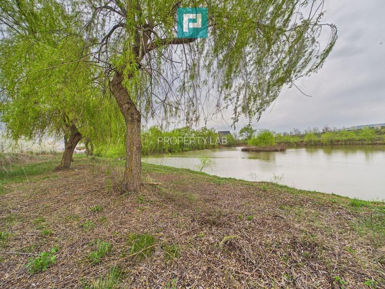 Teren 1 ha cu baltă populată – Alioș (Mașloc) - 9