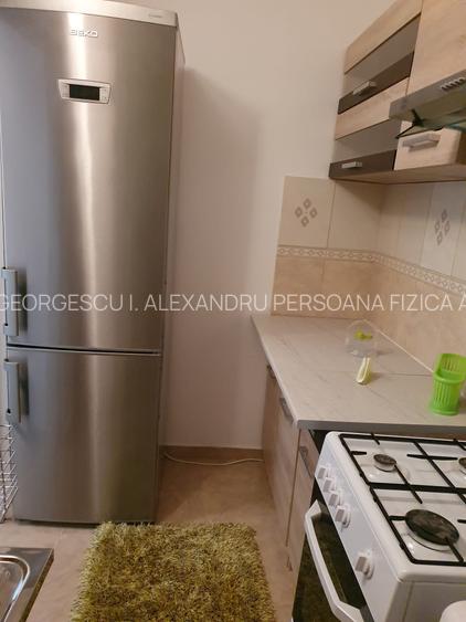 Sala Palatului 2 Camere Ultracentral - 9