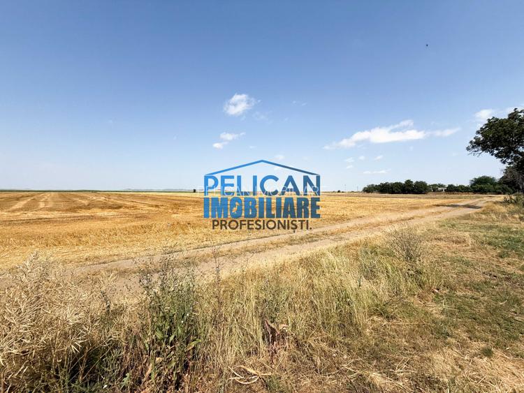 Teren intravilan M. Kogalniceanu, 4000MP, la drumul national - 8