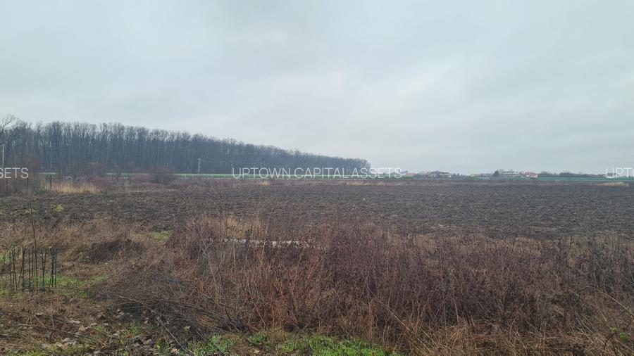 Teren premium rezidential sau industrial 26.651mp Corbeanca – acces la A0 si DN1 - 12