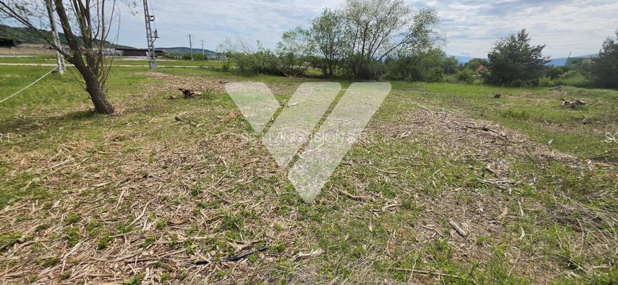 Teren intravilan industrial 2.779 mp de vânzare, DN1 Cristian, Sibiu - 5