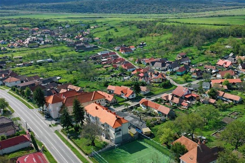 FILM&Tur 3D! Casa eleganta,curte amenajata, garaj, Brancovenesti, Mures - 13