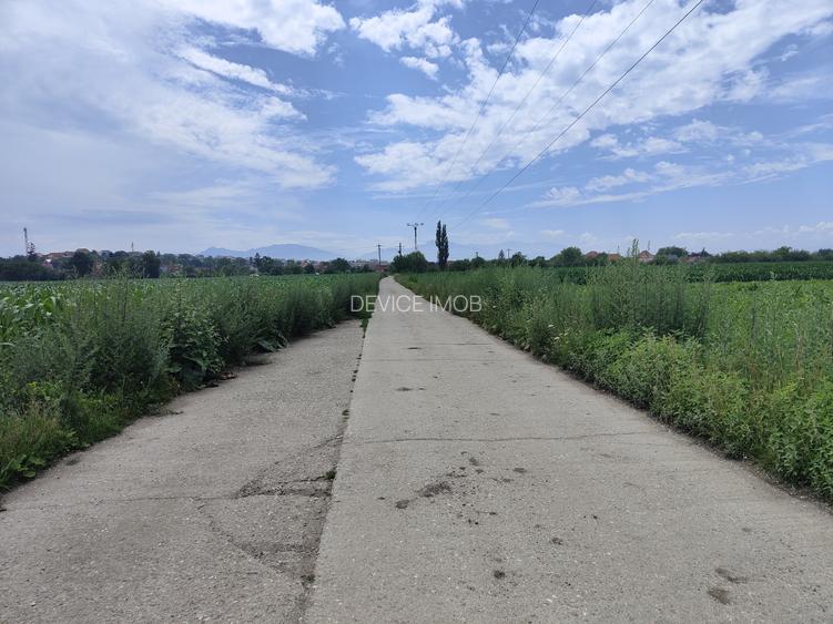 Teren industrial Bod -Drum Betonat -Utilitati - 2