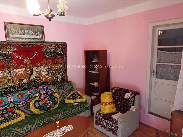 Ciclova, Casa 10 Incaperi, pt 2 Familii, 1439mp Teren - 29