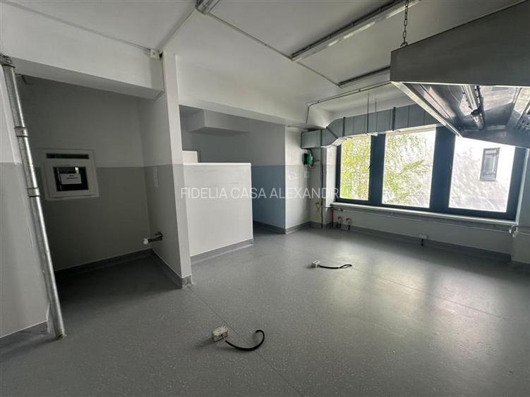Spatiu comercial 195 mp de inchiriat, Valea Lupului - 9