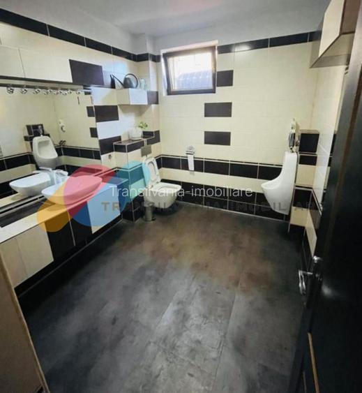 Spatiu Comercial sau Birouri 165 mp, zona Platinia - 5