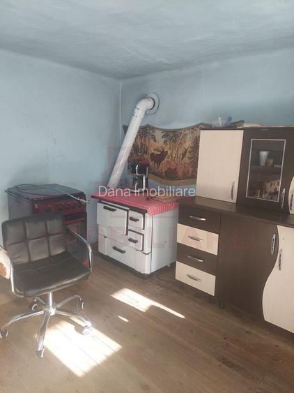 CASĂ PĂLTINIȘ\JUD. CARAȘ-SEVERIN\ COMISION 0% - 19