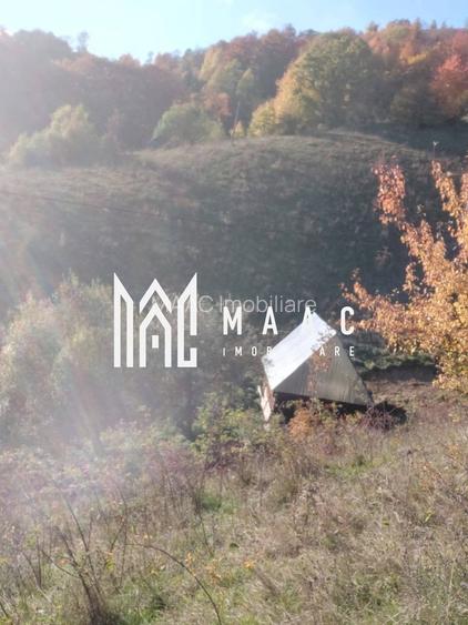 Super ofertă 35000 teren in Muntii Apuseni - 4