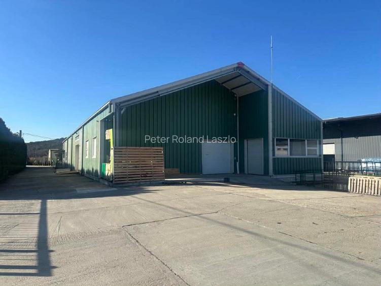 Vanzare hala industriala si spatiu birouri - 4