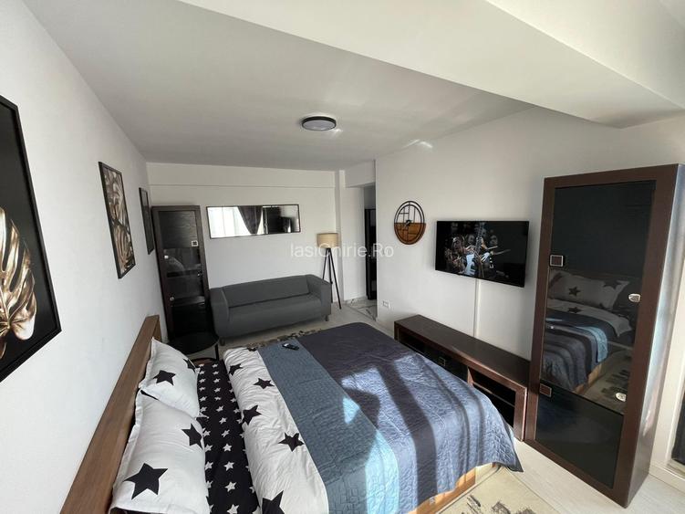 Apartament cu 1 camera Visan - 4