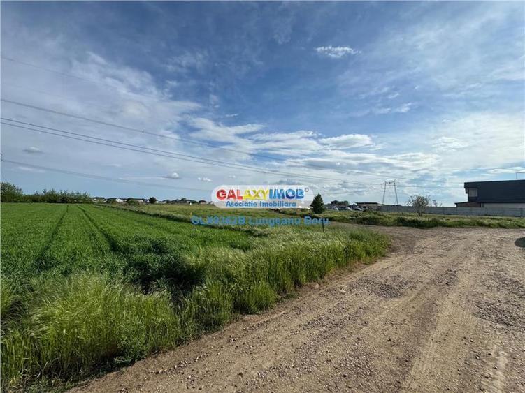 Teren intravilan 1622mp, Lidl Berceni, Utilitati Gaz Electric, 50E mp - 8