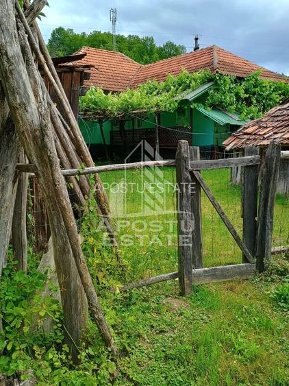 Casa batraneasca de vanzare, 4 camere, in Hunedoara, sat Micanesti - 43