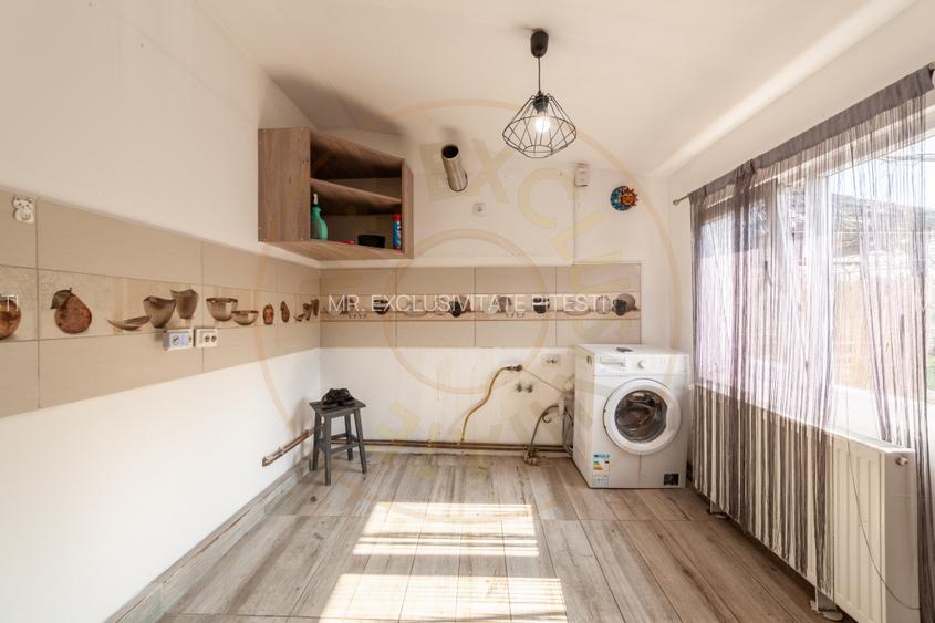 Casa parter + 3.055 mp teren in Costesti - 19
