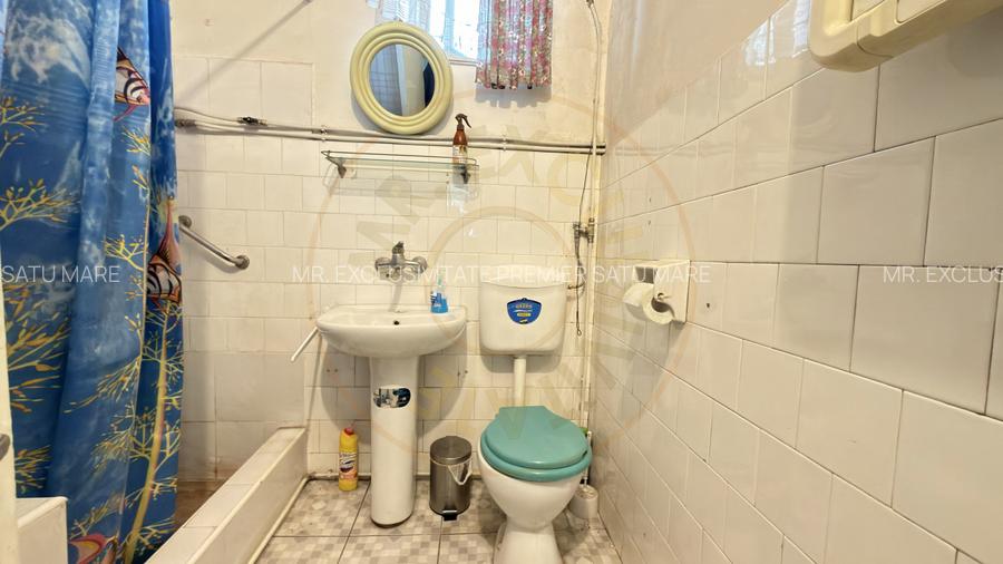 Casă 3 camere, Teren 1053 mp Str. Dorului Nr. 3 - Carei - Comision 0% cumpărător - 10