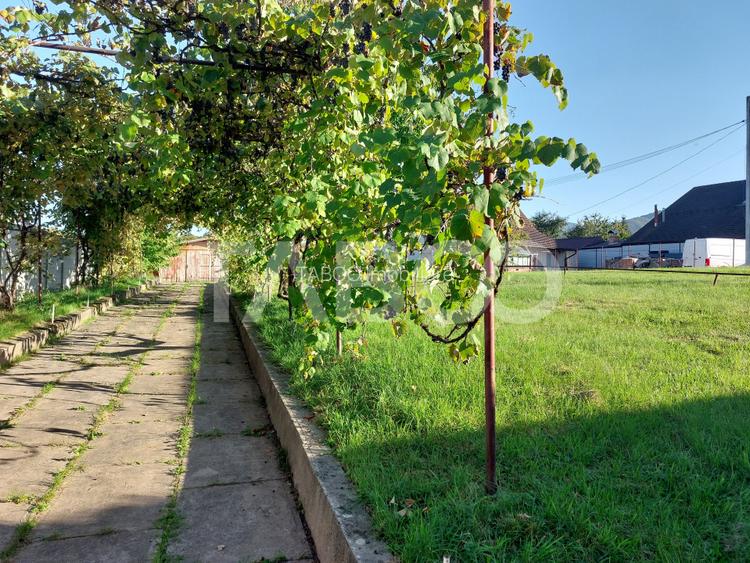 Teren intravilan 1298  mp PUZ toate utilitatile zona buna Cisnadie - 7