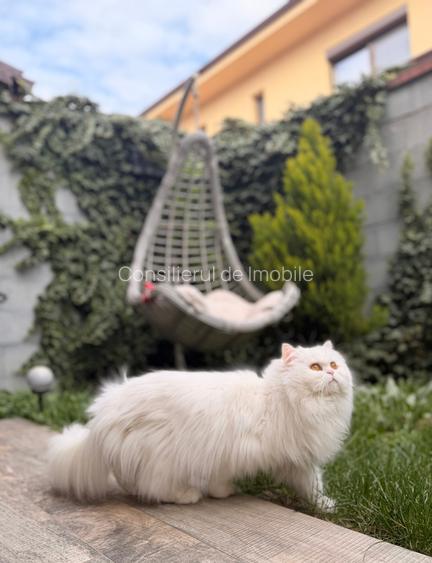 Casa insiruita | Giroc – zona unitatilor militare | 87 mp utili + curte 35 mp - 9