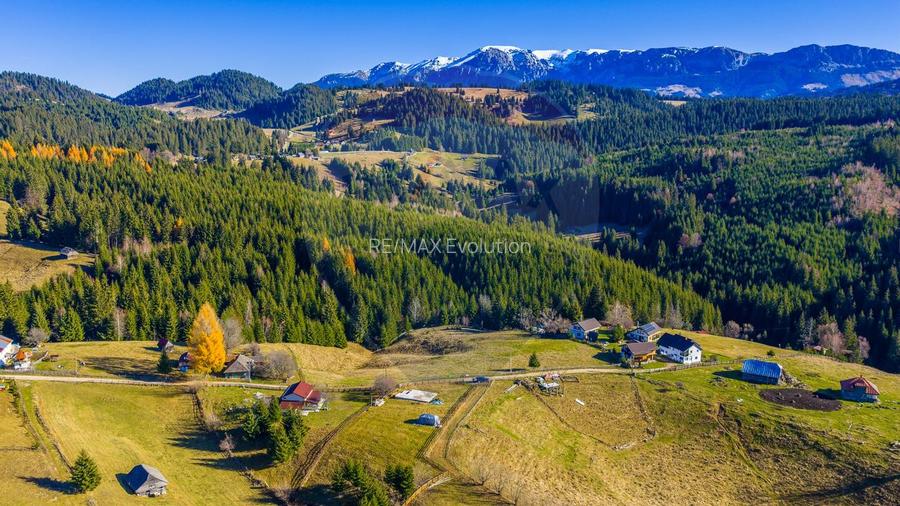 COMISION 0% Teren 13,800mp Fundatica / Intravilan - 16