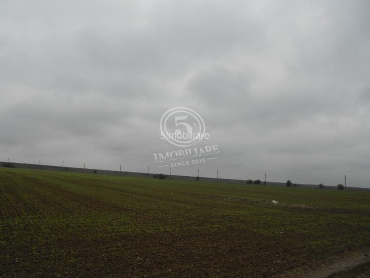 Teren intravilan, Cornetu, Ilfov – 5.590 mp - 6