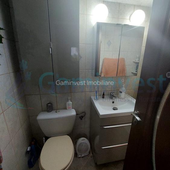 Vila si fosta ferma 8300 mp in Valea lui Mihai, Bihor - 10