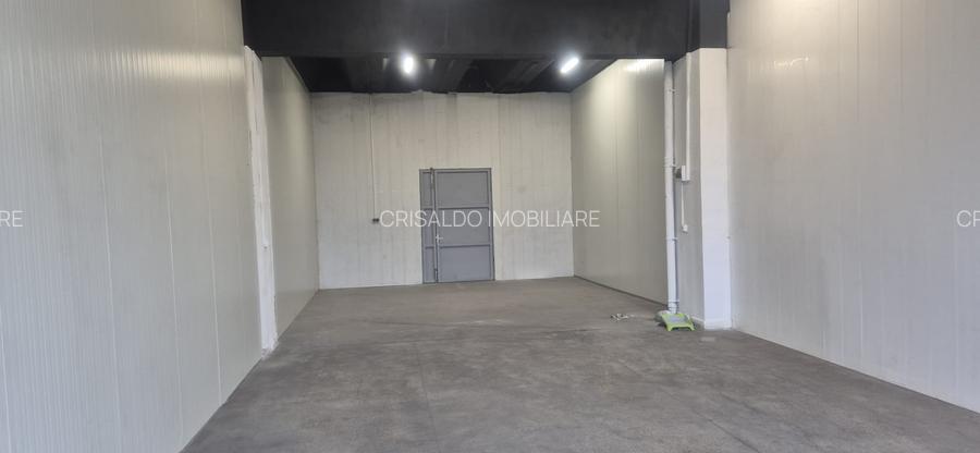 Spatiu Theodor Pallady - 6