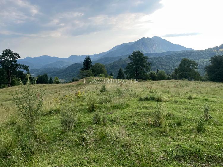 Teren intravilan dezvoltare turistica Hoteluri/Pensiuni S+P+2E+M - 8