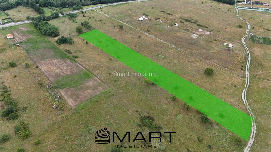 Teren intravilan 5000mp Valea Avrigului - 4