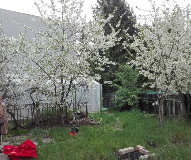 Casă și teren generos zona str. Traian - 4