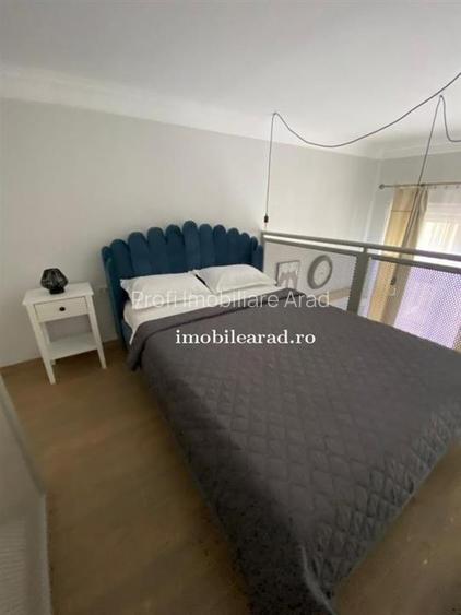 Apartament 60 Euro pe zi, amenajat in stil unic langa Primaria Arad - 9