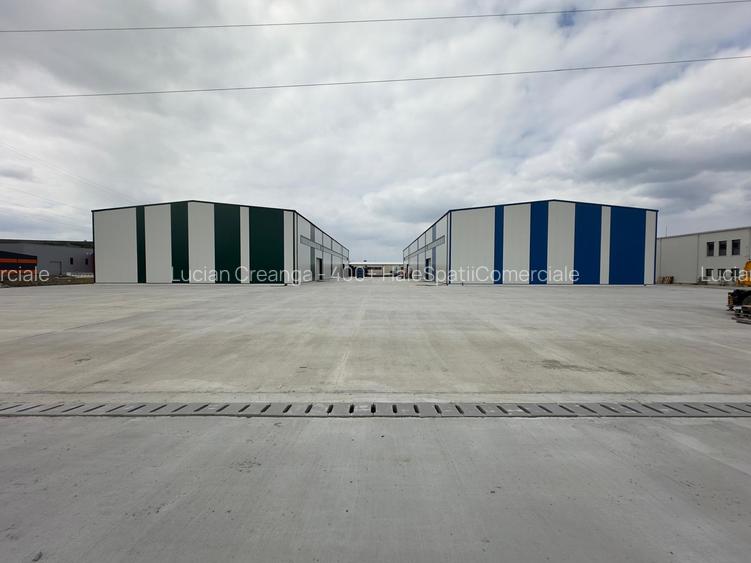 Hala 1760mp Bratuleni - parc, Miroslava - 6