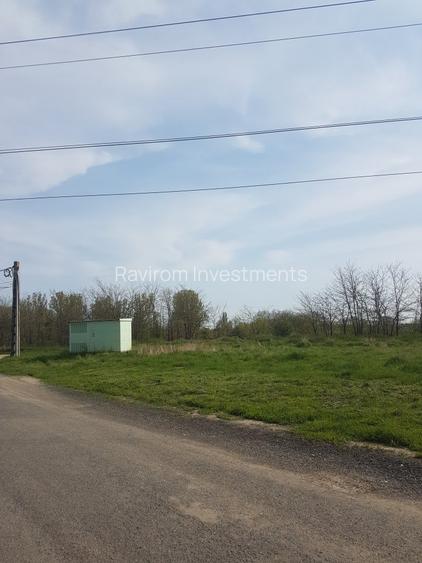 Teren 1.598mp, deschidere dubla, cea mare de 70ml, strada Arinilor, Gheraiesti - 3