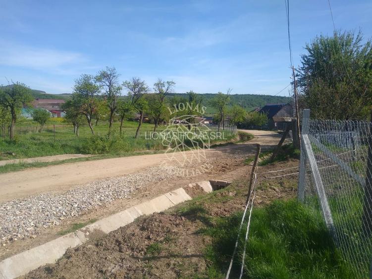 Teren 2500 mp-ideal agricultura/cabane/sera-panorama-Monariu - 2