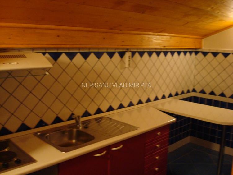 Inchiriere Vila P+M, Stirbei Voda-Parcul Cismigiu-Hotel Hilton Athenee Palace - 20