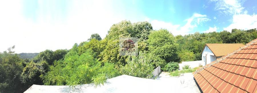 Refugiul la marginea pădurii in Orșova, pe malul Dunării - 17