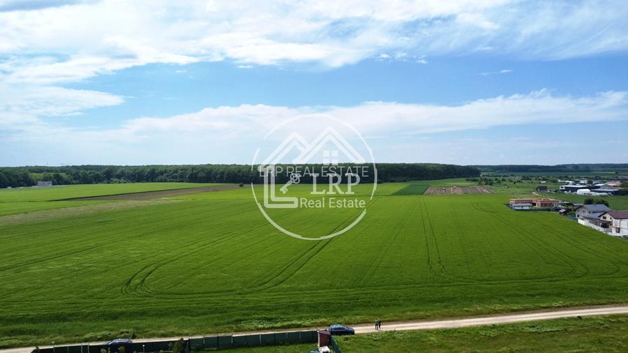 OPORTUNITATE INVESTIȚIE:Teren intravilan 25.000mp Dascălu-Pădure, parcelabil - 12