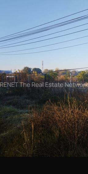 Inchiriez  teren 5000mp  Buc Măgurele, nr:236 stradal Sector 5 pentru 4500 EURO - 6