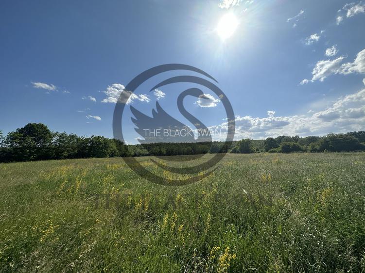 Teren Vanzare 11.000 MP Ghirdoveni | Comision 0% - 8