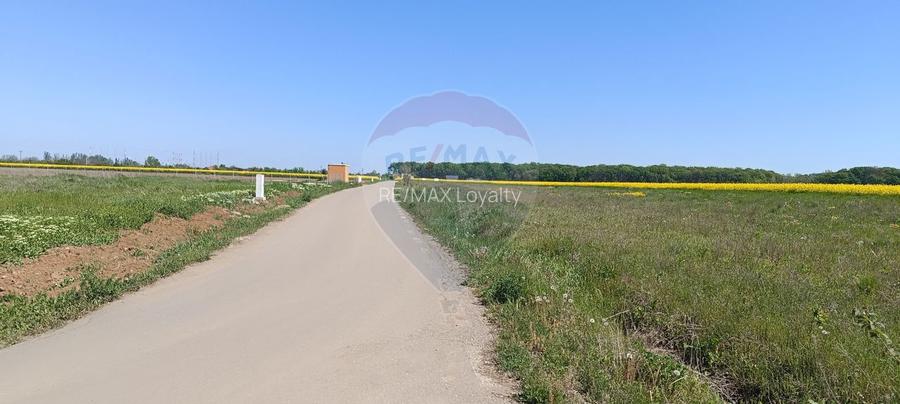 Teren 980mp Ciolpani - 3