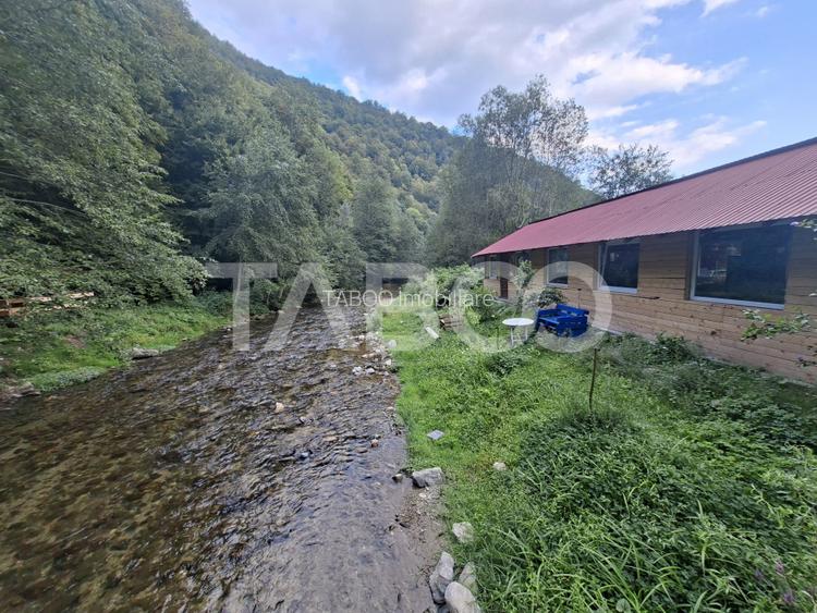 Spatiu de vanzare in Valea Macesului judel Valcea iesire la Lotru - 25