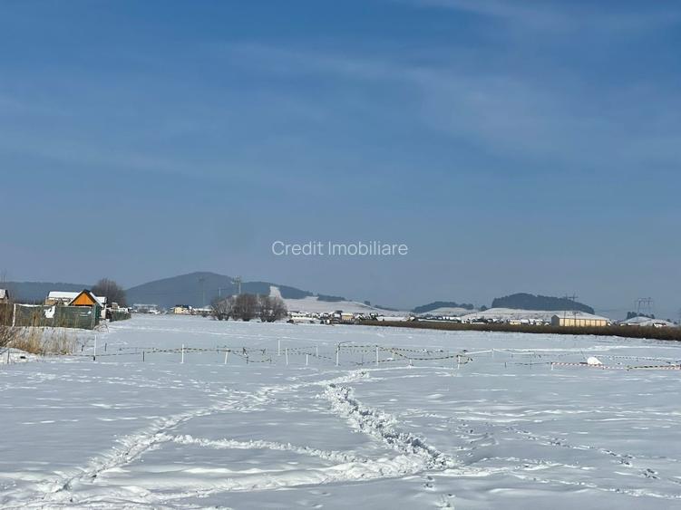 Teren de vanzare - 3