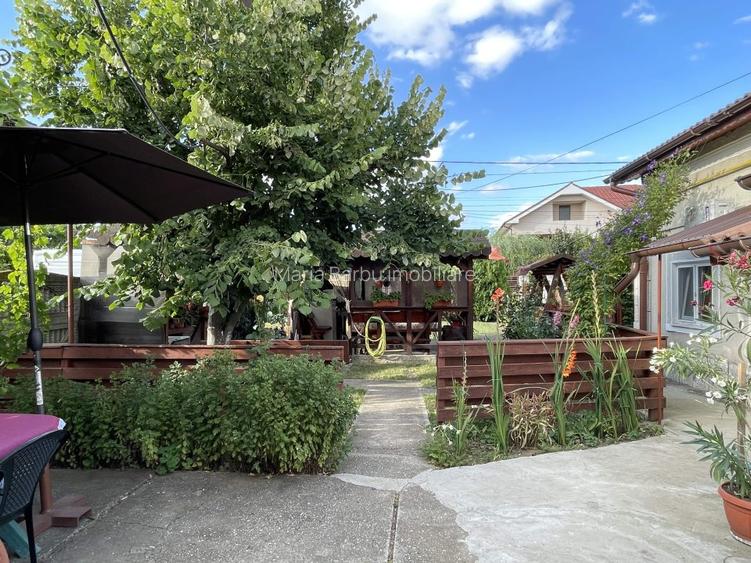 Casa traditionala, 106 mp., Teren 2227, D = 20 m + GARAJ, Clocociov - 3