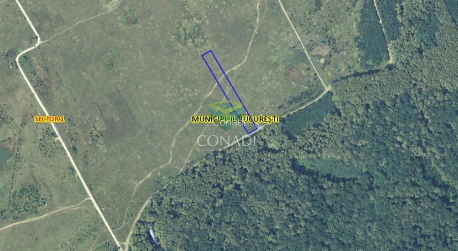 Teren de vanzare Padurea Baneasa 7.500 mp - 8