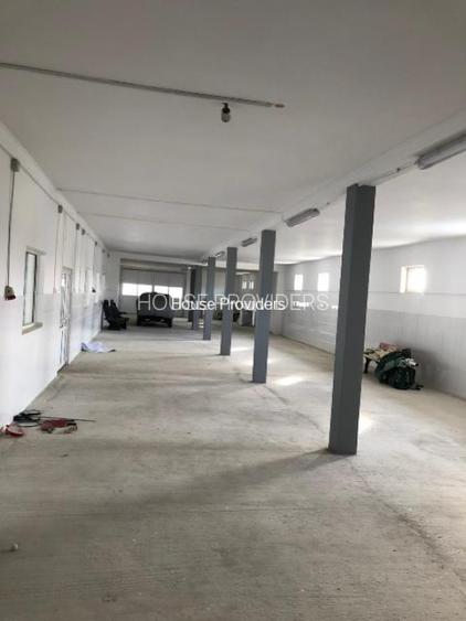 Vanzare  2 Hale Spatii Industriale Puchenii Mari - 8