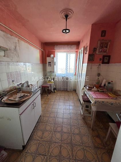 Apartament 3 camere confort 1 decomandat Plantelor, etaj intermediar. - 5