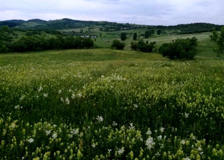 TEREN de vanzare, 4800 mp, in Posesti, judetul Prahova - 4