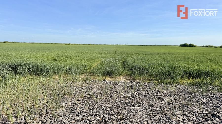 Teren intravilan de vanzare cu toate utilitatile - Bucovat - 4